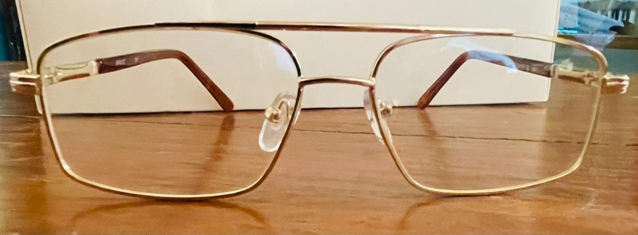SALVC Gold Double Bridge Glasses | Executive Metal Frame | Saad Optics